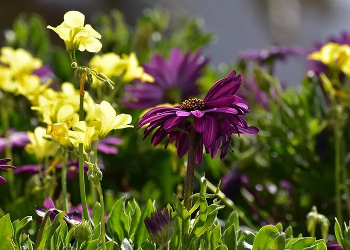 洛达卡斯酒店 酒店 Akrotírion